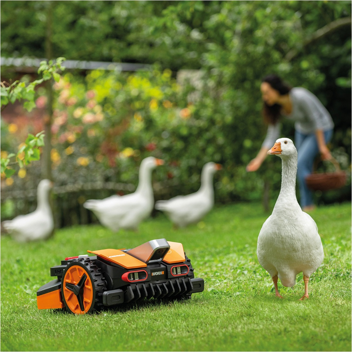 Worx Landroid Vision L1300: Intelligenter Mährobot – Draufsicht